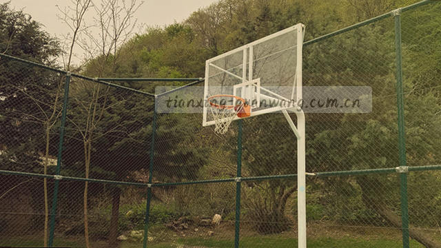 阳光穿过树叶缝隙洒在产品说明书上